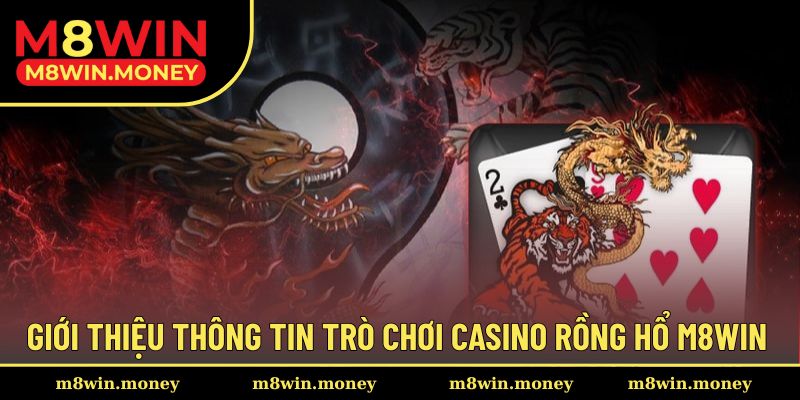 Giới thiệu Rồng Hổ hấp dẫn trong từng trải nghiệm