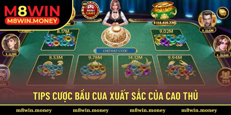Tips cược bầu cua xuất sắc của cao thủ